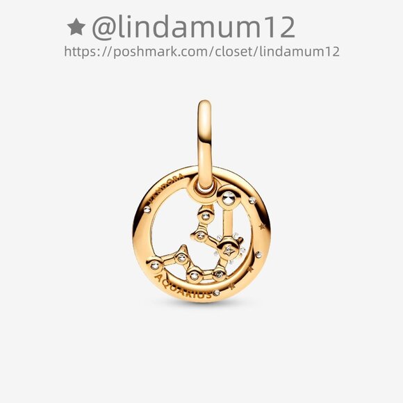 Pandora Aquarius Zodiac Dangle Charm - Picture 2 of 6